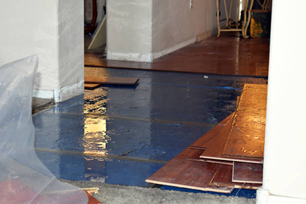Professional Burst Pipe Cleanup technician working in Dibble, OK